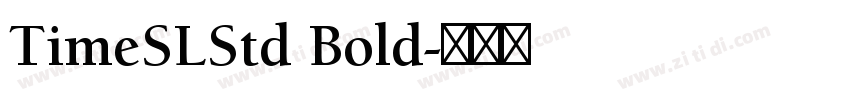 TimeSLStd Bold字体转换